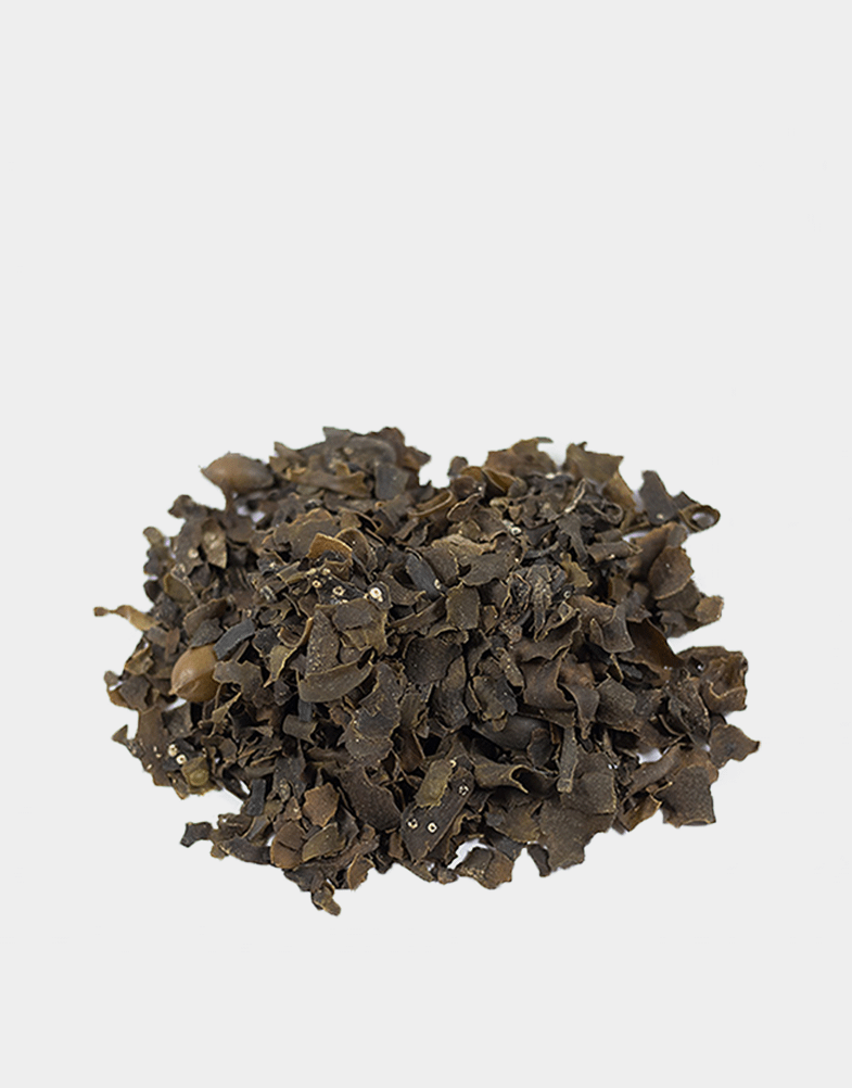 Bladderwrack - 100g | Faith Olivia